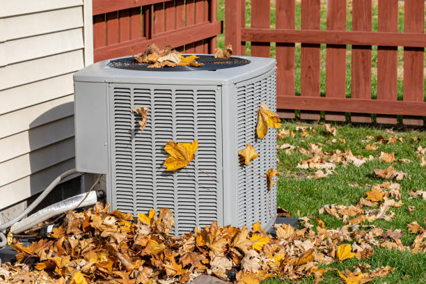 Best HVAC Troubleshooting  in Rushford, MN